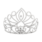 Beauty & Brains Tiara