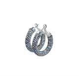 Shimmer Ring Earrings