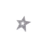 Lone Star Barrette 1