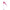 Pinkie Swear