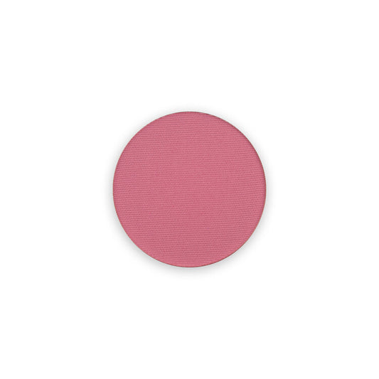Dozen Roses Blush