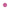 Wild Orchid Blush
