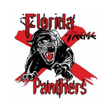 Florida Panthers Cheerleading