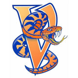VICTORY VIPERS